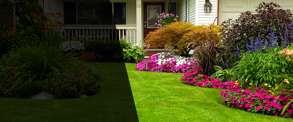 Spencerport Landscapers