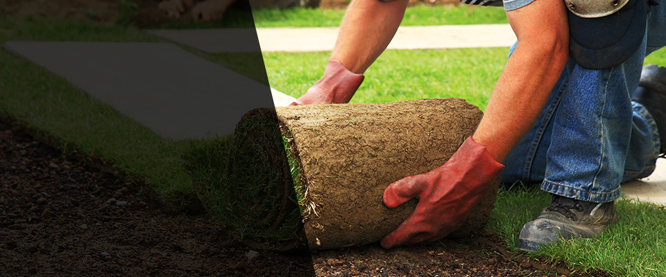 Spencerport Landscapers